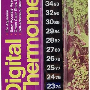 Termómetro Digital