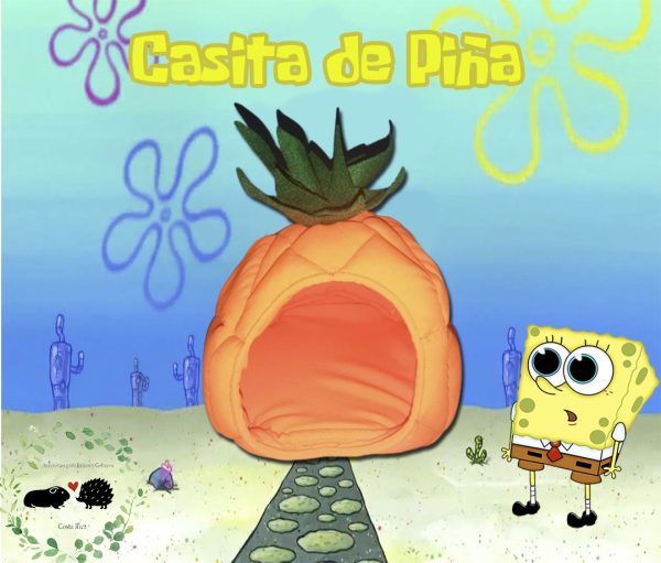 Casita de tela de Piña