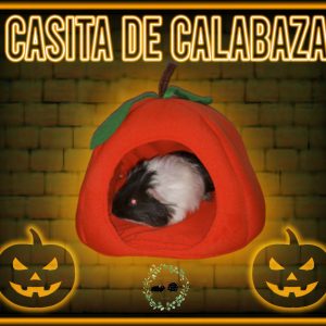 Casita de tela de Calabaza