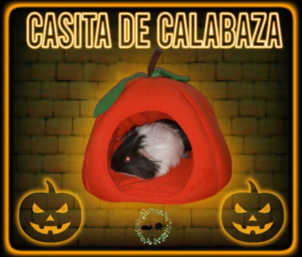 Casita de tela de Calabaza