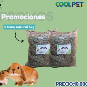 Promoción