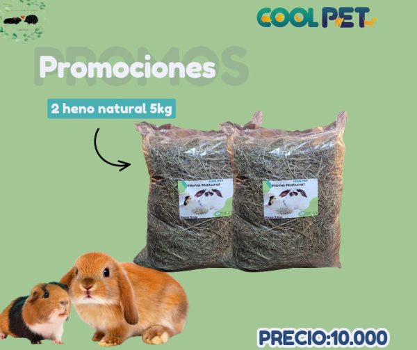 Promoción