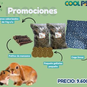 Promoción
