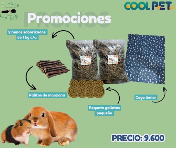 Promoción