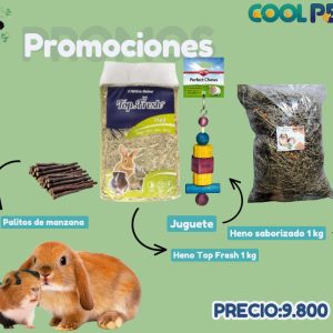 Promoción