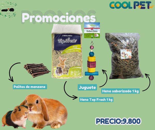 Promoción