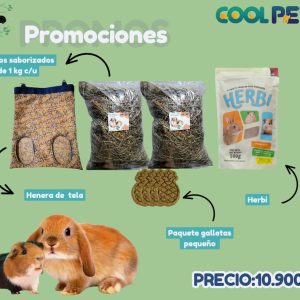 Promoción