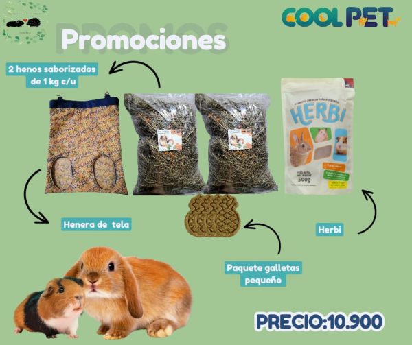 Promoción