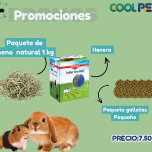 Promoción