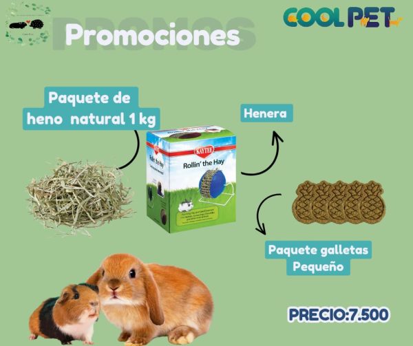 Promoción