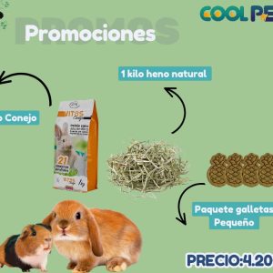 Promoción