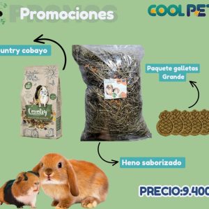 Promoción