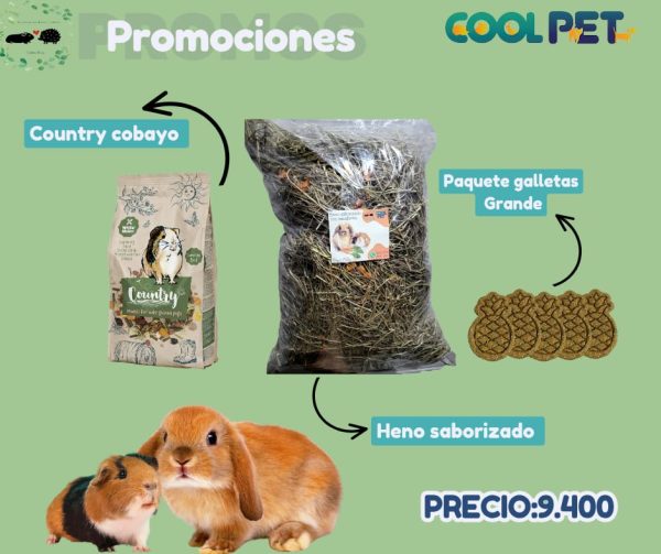 Promoción