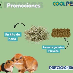Promoción