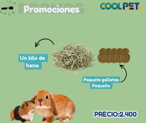 Promoción