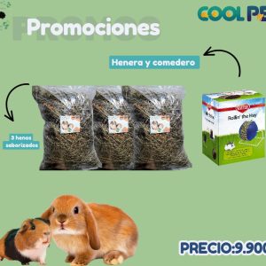 Promoción