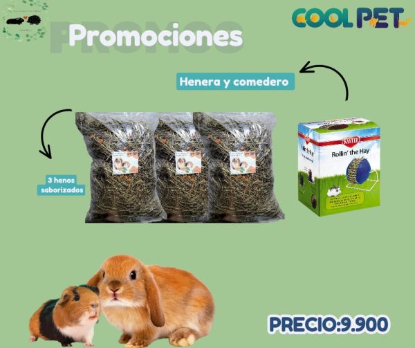Promoción