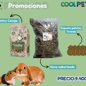 Promoción