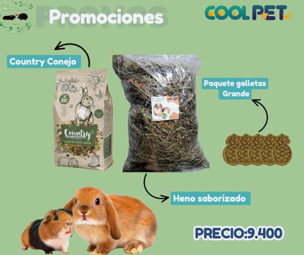 Promoción