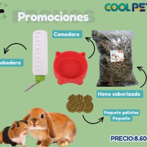 Promoción