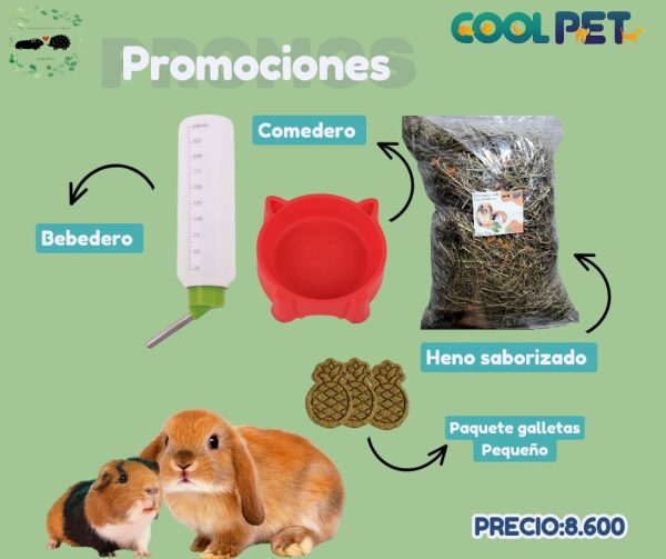 Promoción