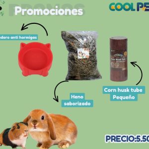 Promoción