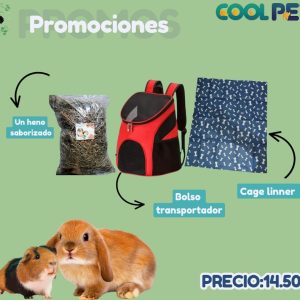 Promoción