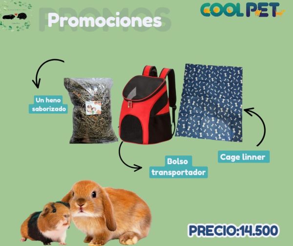 Promoción