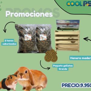 Promoción