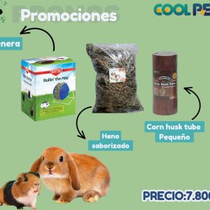 Promoción