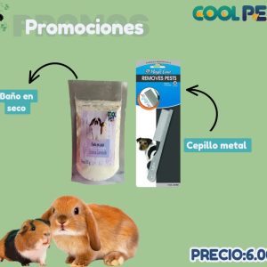Promoción