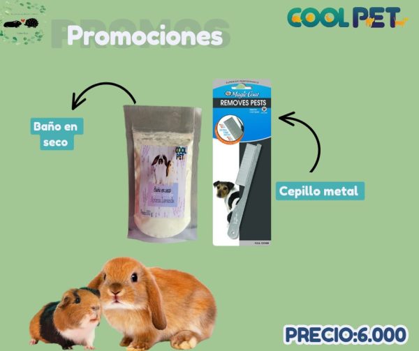 Promoción