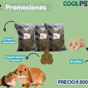 Promoción