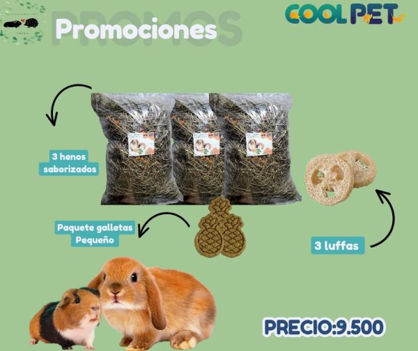 Promoción