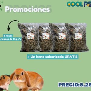 Promoción