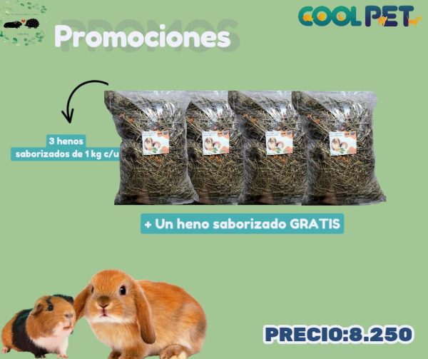 Promoción