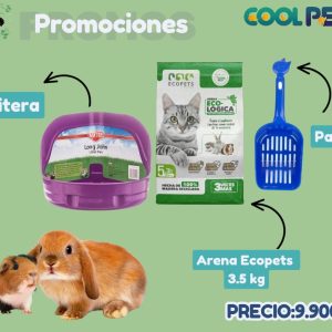 Promoción