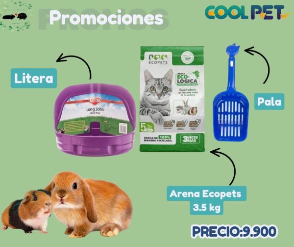 Promoción