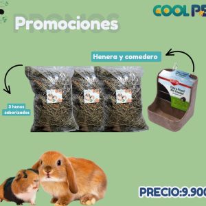 Promoción