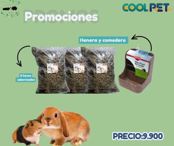 Promoción