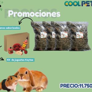 Promoción