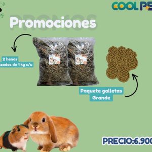 Promoción