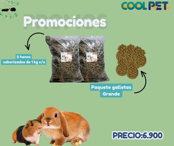 Promoción