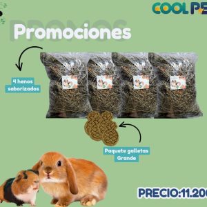 Promoción