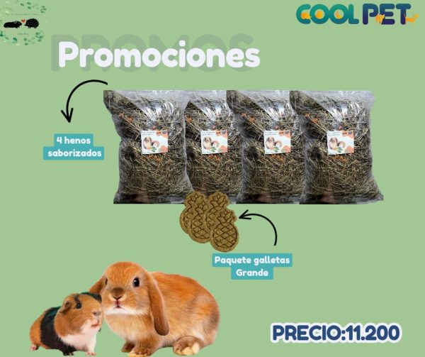 Promoción