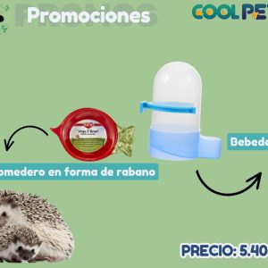 Promoción