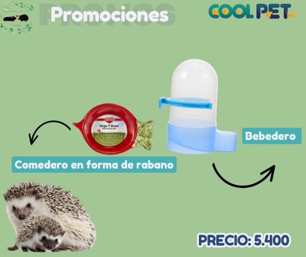 Promoción