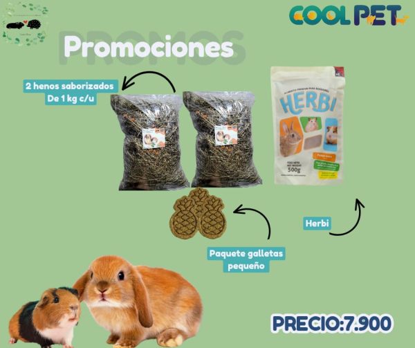 Promoción