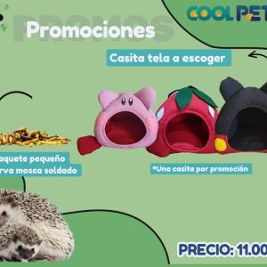 Promoción