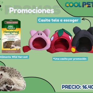Promoción